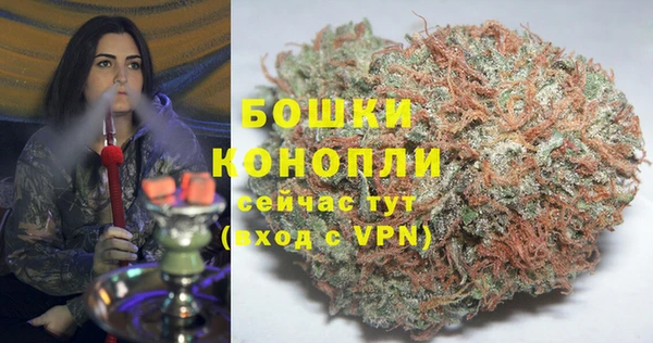 apvp Белокуриха