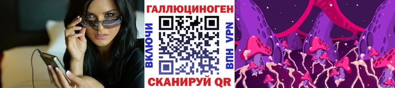 наркота  Казань  блэк спрут рабочий сайт  Псилоцибиновые грибы GOLDEN TEACHER 